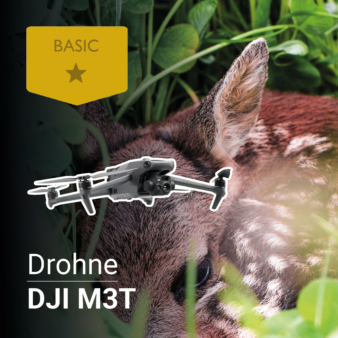 Ein kleines Reh ruht im Gras, überlagert mit einem Drohnenbild. In der oberen linken Ecke befindet sich ein goldenes Symbol mit der Aufschrift „BASIC“ und einem Stern. Unten erscheint der Text „Drohnenset Rehkitzrettung DJI M3T (Test2)“ von CIELOTEC.