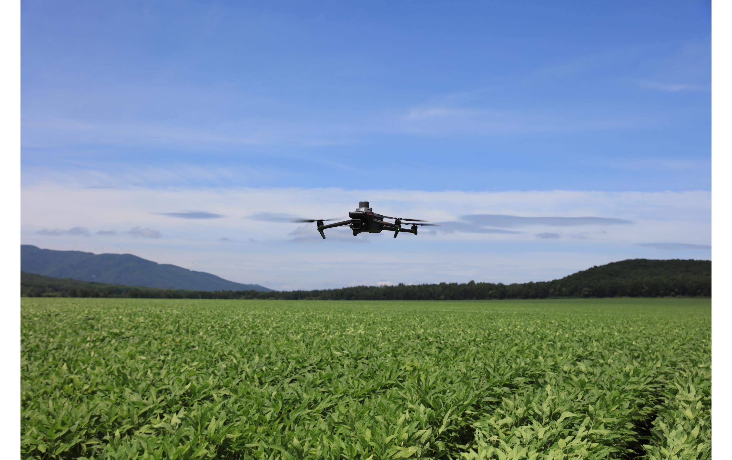 Ein DJI Enterprise Multikopter Mavic 3 Multispectral – M3M (EU/C2) DJI Care Basic gleitet unter einem klaren blauen Himmel über ein üppig grünes Ackerfeld, im Hintergrund bilden sanfte Hügel eine malerische Landschaft.