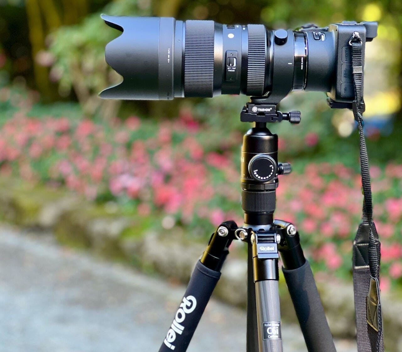 Eine professionelle Kamera mit großem Zoomobjektiv ist auf dem robusten Rollei C6i Carbon-Stativ montiert, das für seine stabile und dennoch leichte Bauweise bekannt ist. Das Setup befindet sich im Freien vor einem Hintergrund aus verschwommenem Grün und rosa Blumen.